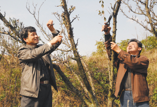 Ϊ��������ճ� ��ũ�޼�֦ͷæ 