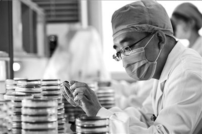 ���������õ��飺����Ϊ����ҩ ռҽ�Ʒ����