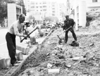 �����ġ���԰��⡱Ҫ�����е���