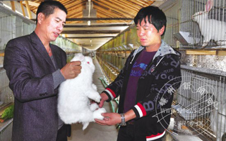 ���½������ó�