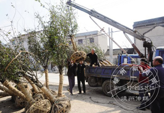 ��ľС���������ƺ�Ķ���������200%