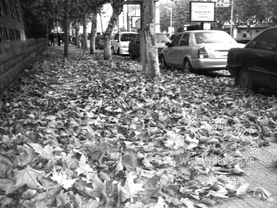 ��ҹ��������