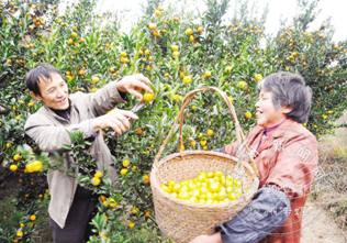 ��ũϲժ��Ǯ����