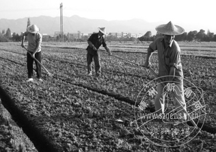 ��������ʱ