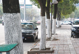 �캮Ҷ�� �е����������¡�����