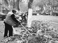 ���紩�ֹ� ��Ҷ������ ���裬��������