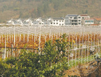 ����� �洦�Է羰