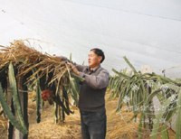 ��Ҫ��������