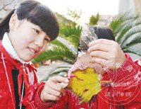 �������Ӱ��ǽ����ֱ���