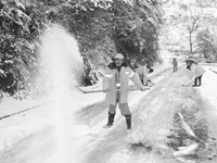 ȫ���Ը�����ͨ��ƽ��