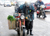 �߲˼��������� ������Ȳ���