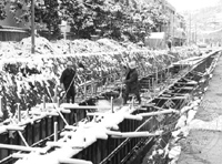 ��ɨ��ѩ����ȫ