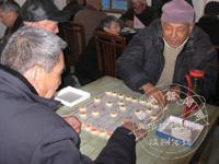 ������ ӭ����