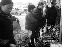 �ʻ��������� ����ϲ������