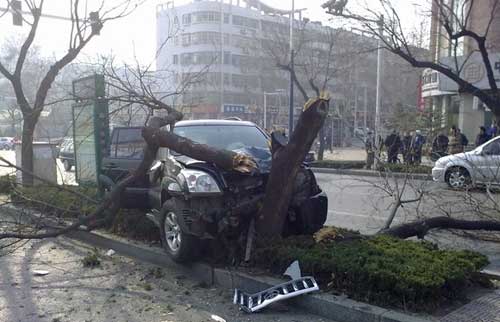 �ֳ�ͼ(�����ṩ)