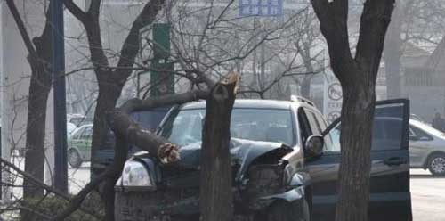 �ֳ�ͼ(�����ṩ)