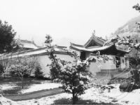 ��ѩ������ͥ��