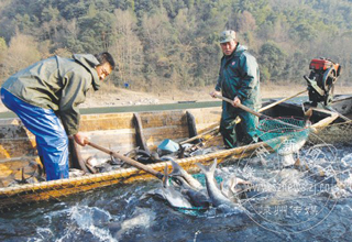 ��ɽ������������