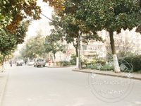 ��������·�г����ڱ��ͨ����