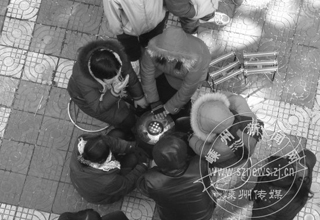 �����е�ů�� 