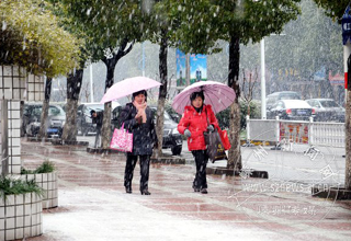 ��ѩ�е�����ͼ�飩