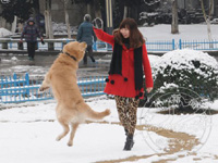 ѩ�� ��԰�����Ȥ��ͼ�飩