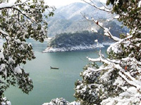 ������ѩ ѣĿ��������������Ӱ��Ʒѡ��