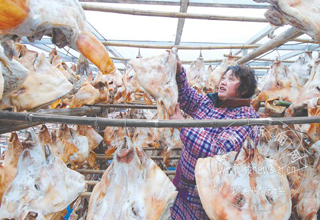 ���ɹɹ�ù���