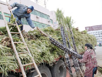 �����ٽ� ����Ҳ���Ρ�