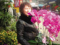 ӭ���ʻ���