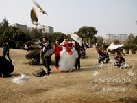 ϲ������