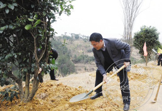 ���쵼���ڳ�����Ȫ�����չֲ���