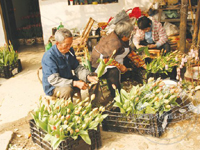 ���������� ����������