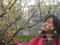 ��÷֦ͷ�� ���ݴ���Ϣ