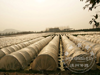 ��Ƭ�����һ��