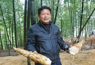 ������ڶ���ʱ������ ÿ��������50��Ԫ