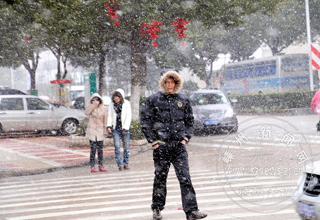 ��ѩ�е�����ͼ�飩