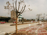 ����������ɽ �����������