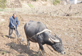 77����ũ����ţ�����ᡱ