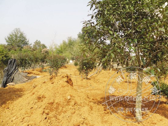 ʯ������´�һ�������в���Ƿ������󸴸�