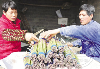 ʱ���߲�ֱ��ţ��� ������«���紺����