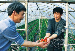 ��ݮϲ����