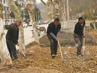 ɭ�ֹ�԰�������е�