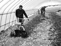 ��ũ����æ ������һ���߲�