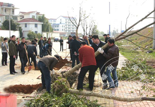 ֲ���ڽ��� ����ֲ��æ