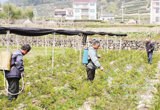 ����ʩ��������ҡǮ����