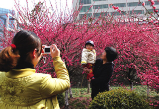 էů���� ������Ͼ�����