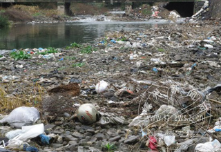 ���Ĺ��磺������ȥ��ʰ���е�����