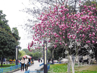 �߳Ǵ���Ũ �ʹ�����ʱ