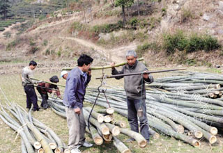 ��Ժũ������æ